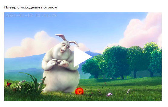 Плеер с исходным потоком